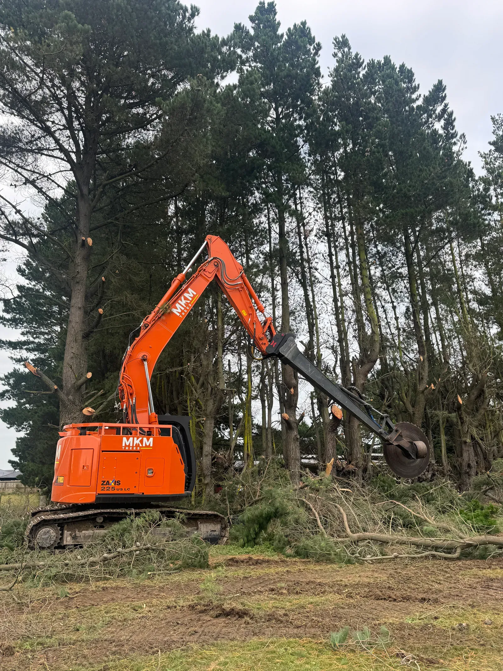 Tree Topping Near Ashley River in Canterbury