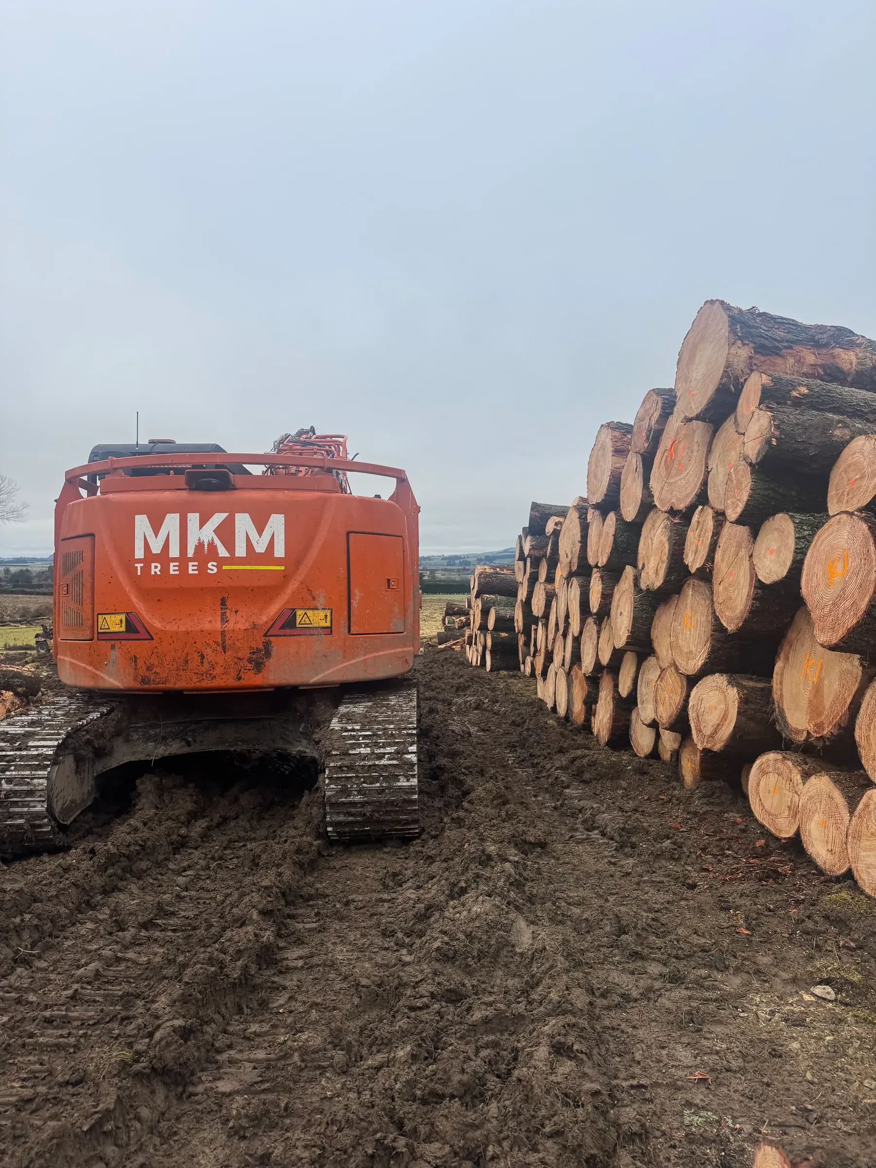 Professional logging equipment and timber processing operations in Canterbury