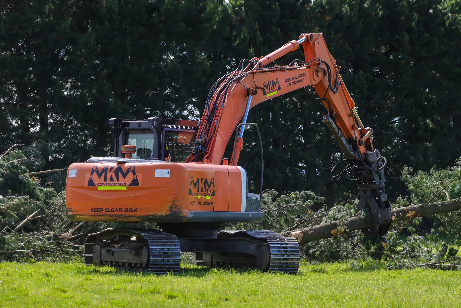 MKM Trees team working on tree removal and land clearing in Canterbury