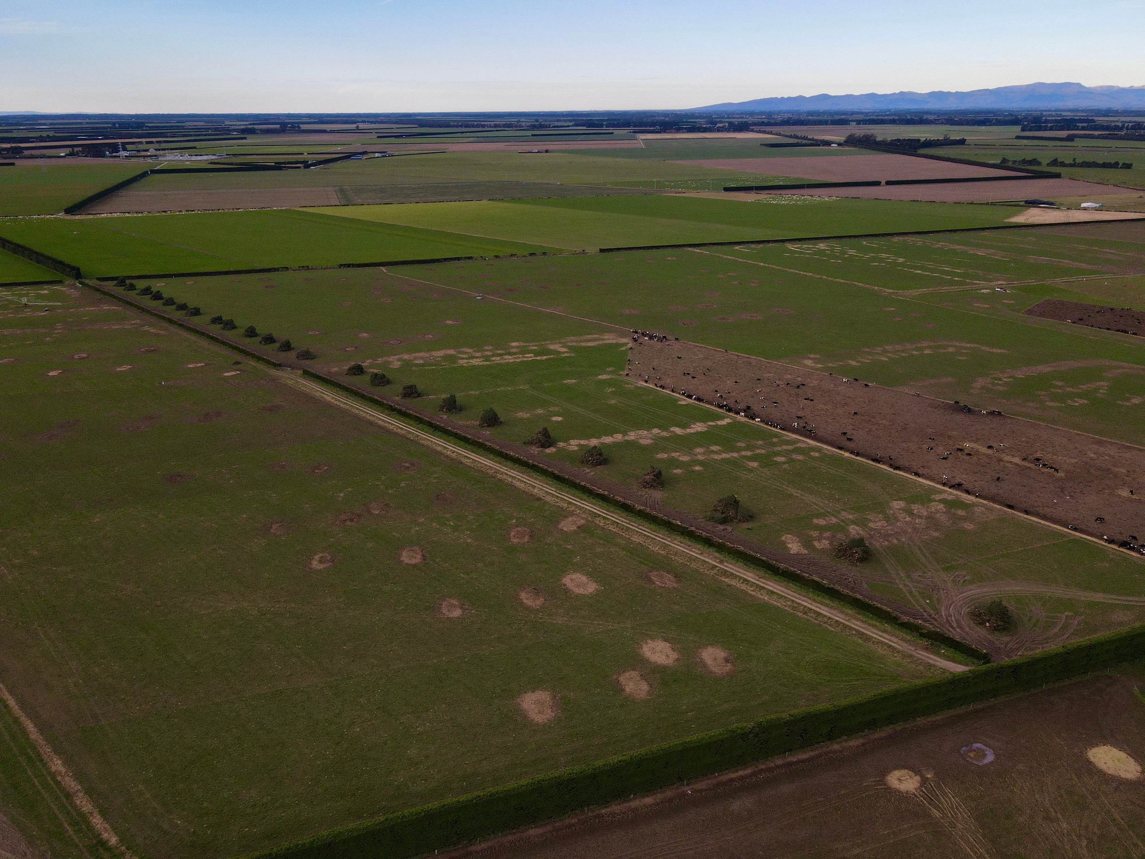 Dewhurst Land – Hedge Topping for Pivot Installation