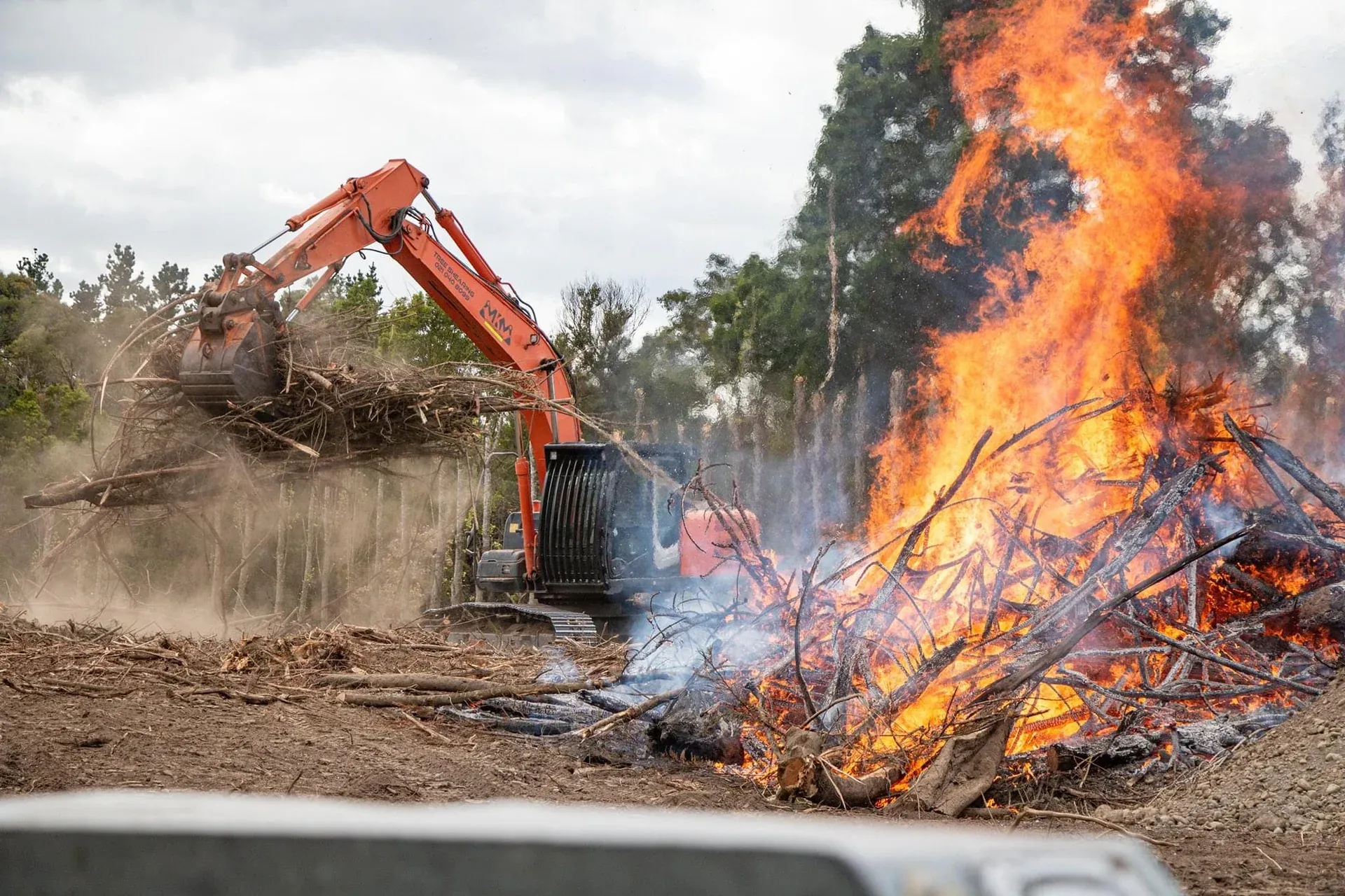 Emergency tree and earthworks response services in Canterbury