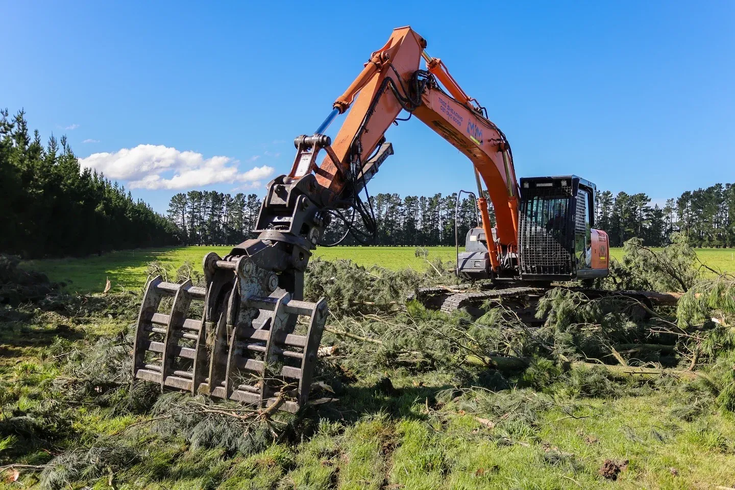 Emergency tree removal services responding to storm damage