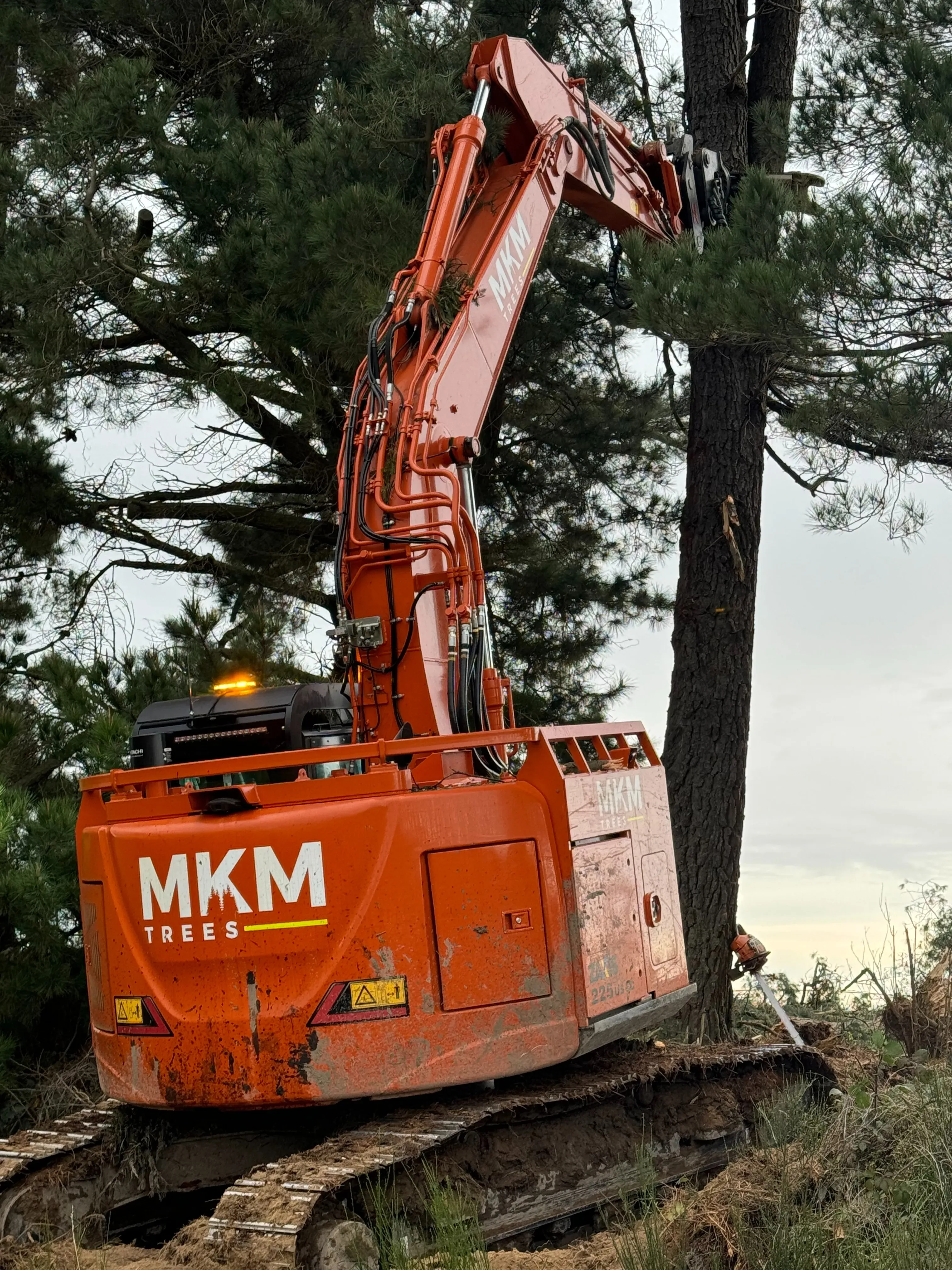 Essendon Road – Logging and Tree Removal - Gallery image 4