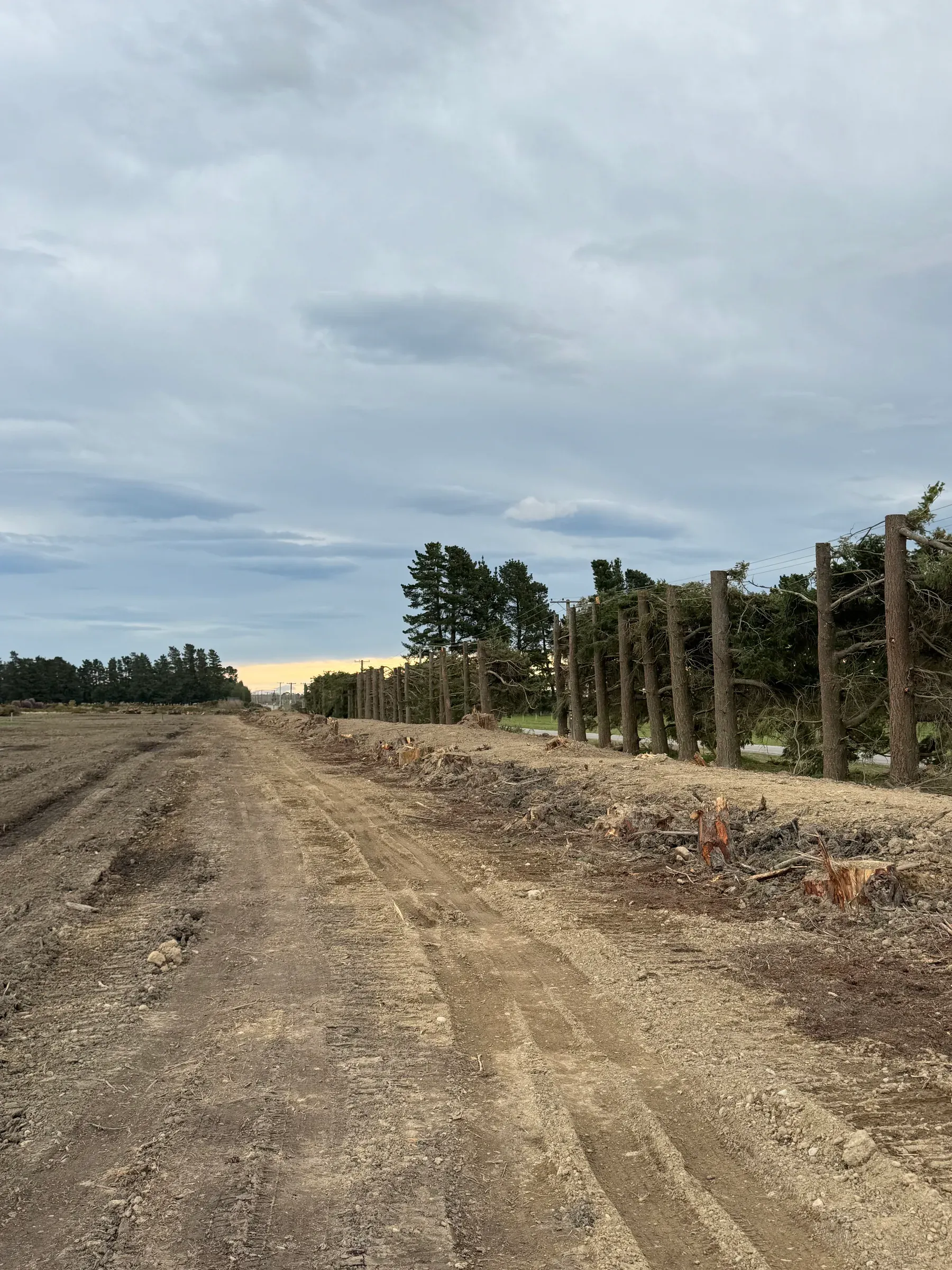 Specialized mulching of gorse and forestry slash waste