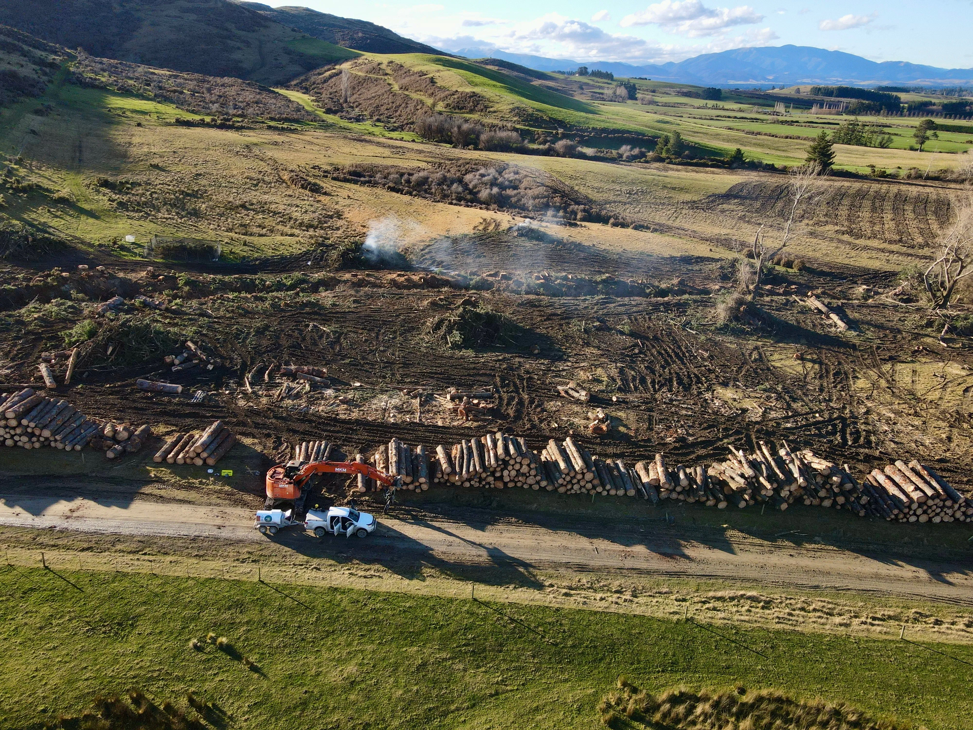 Spring Vale – Logging and Site Clearing