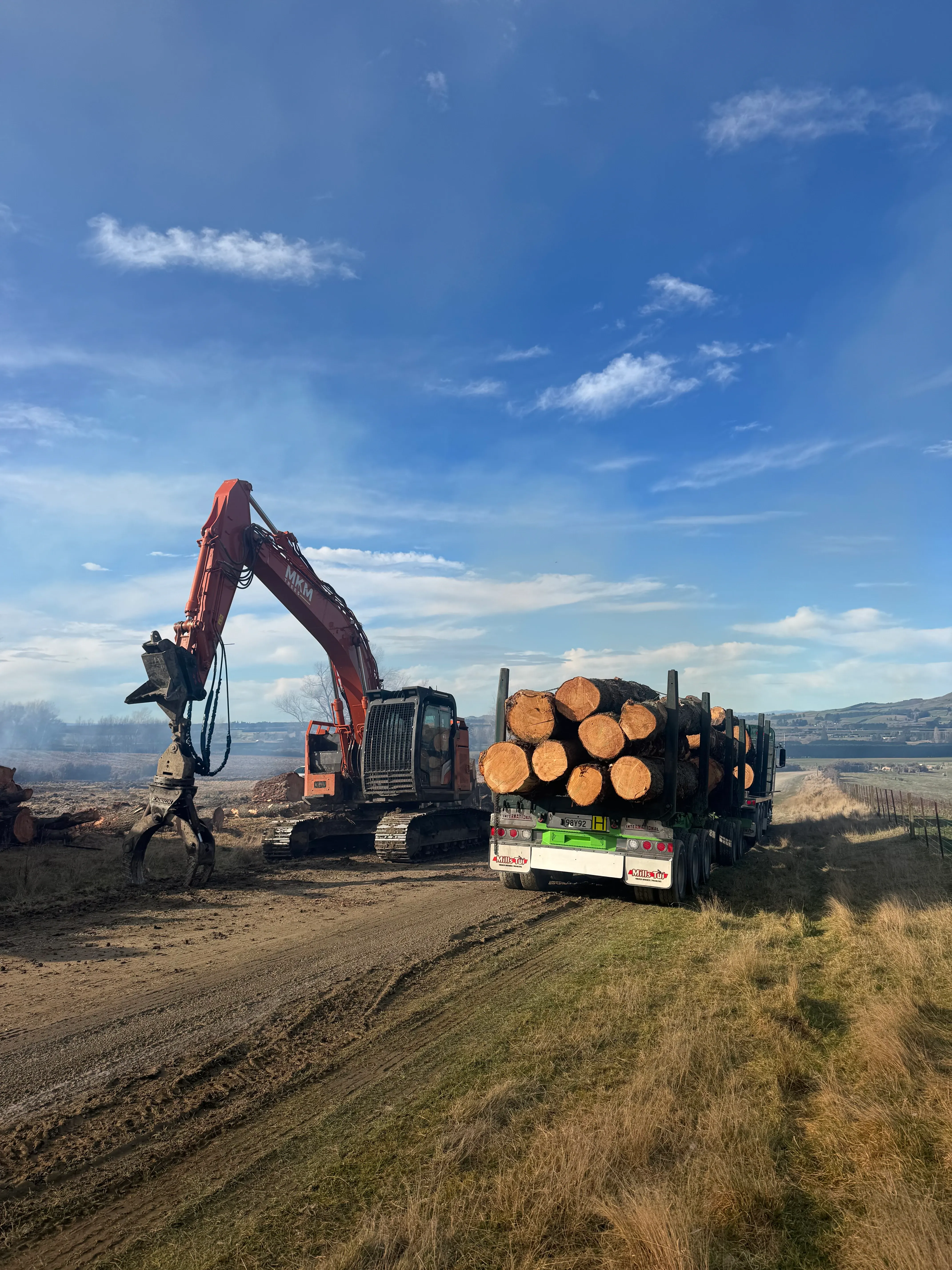 Spring Vale – Logging and Site Clearing - Gallery image 5