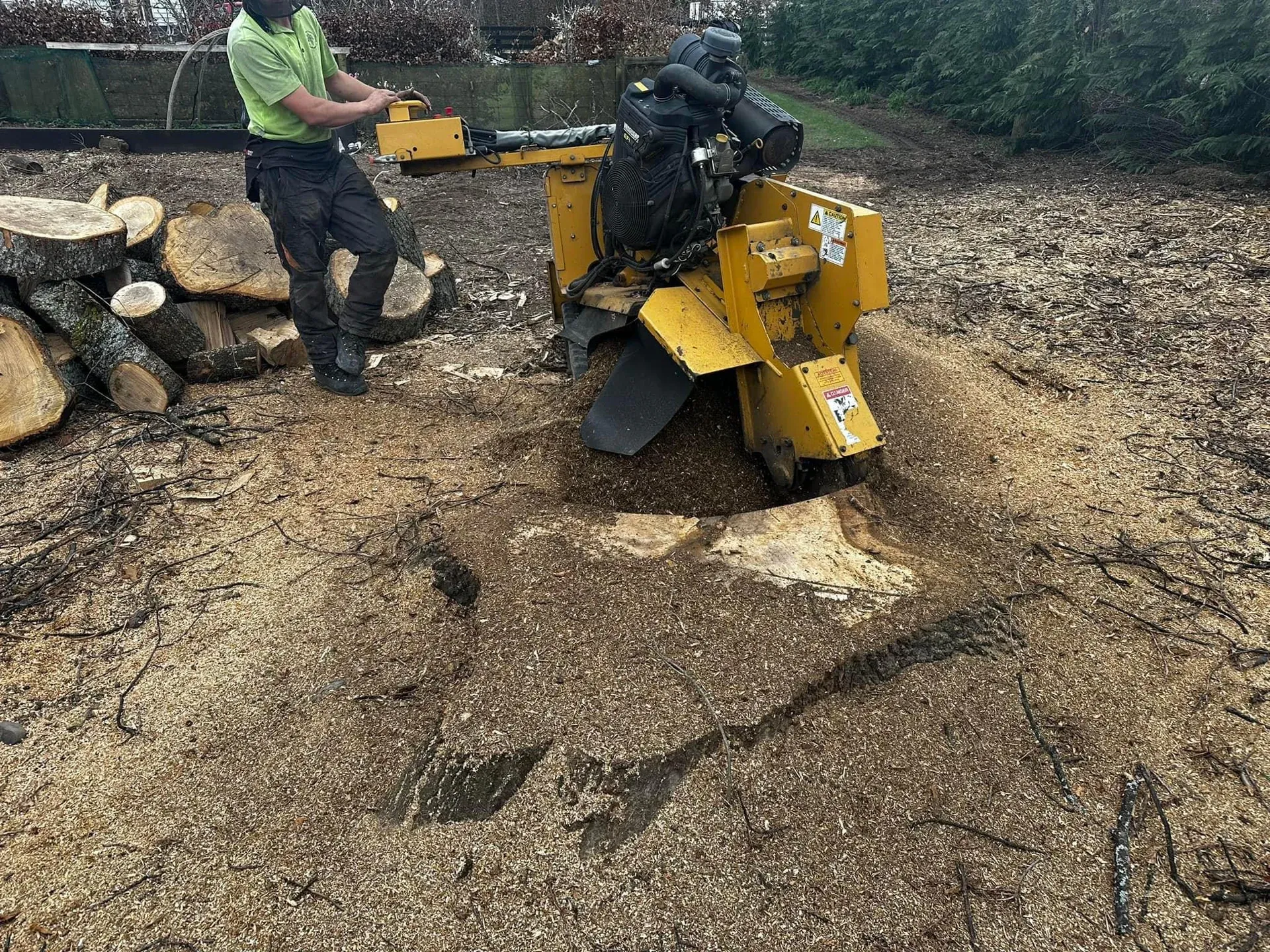 Stump Grinding in Canterbury: How to Remove Tree Stumps the Right Way